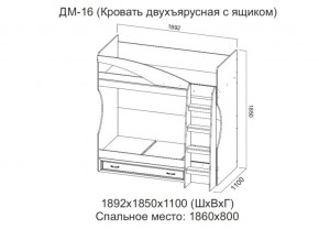 ДМ-16 Кровать двухъярусная с ящиком в Верхнем Тагиле - verhnij-tagil.magazin-mebel74.ru | фото