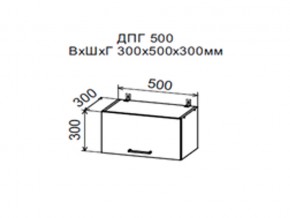 Шкаф верхний ДПГ500 горизонтальный в Верхнем Тагиле - verhnij-tagil.magazin-mebel74.ru | фото
