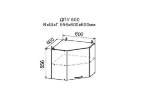 Шкаф верхний ДПУ600 угловой в Верхнем Тагиле - verhnij-tagil.magazin-mebel74.ru | фото